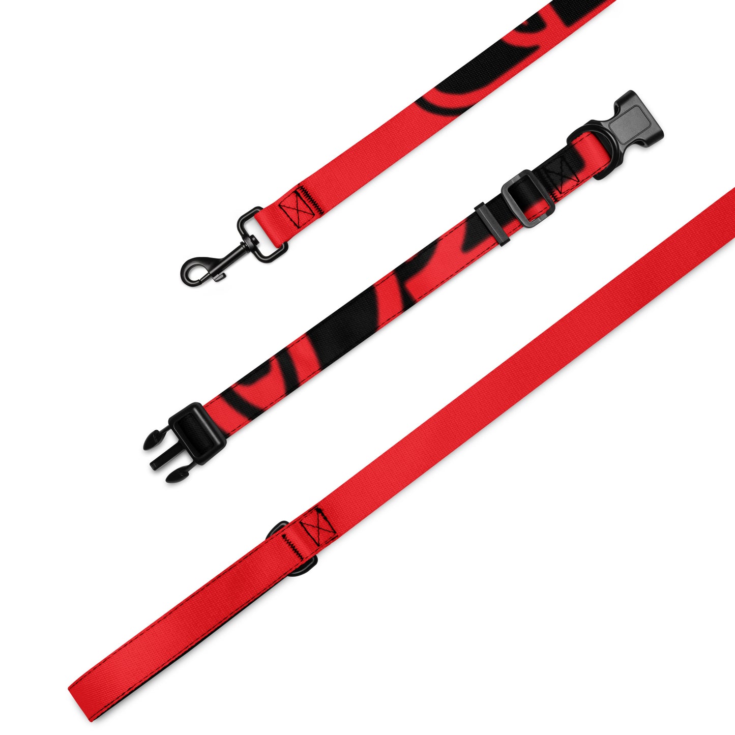 Pet collar & leash