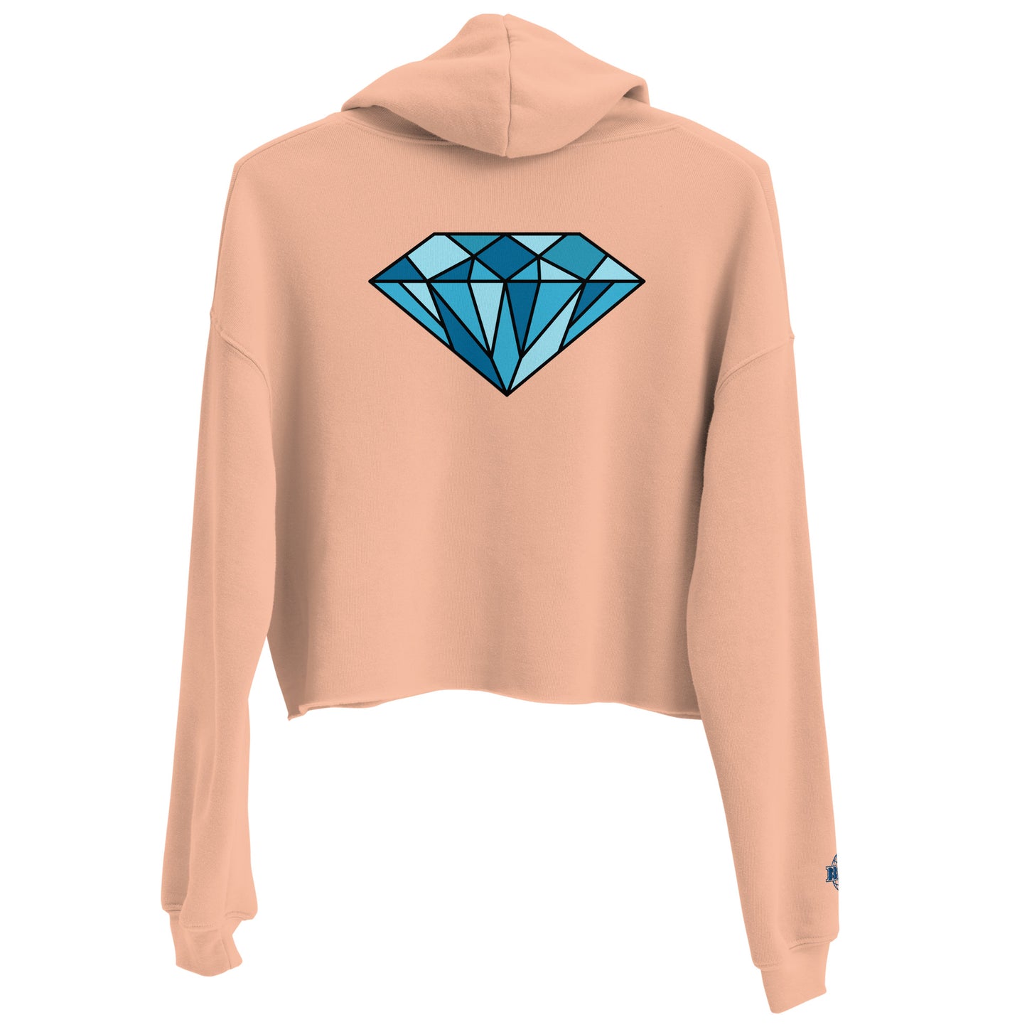 Crop Hoodie